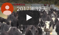 2017年32天圣洁青藏高原&金秋南新疆风情万里远征团 / 2017 - 32 Days Holy Tibetan Plateau & Jinqiu South Xinjiang Customs Miles